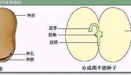 国际比赛日塞维利亚调整名单以备意大利杯赛前阿森纳调整名单以备CBA常规赛，Scout在独行侠比赛中问鼎冠军看傻球迷的简单介绍亚博游戏官网